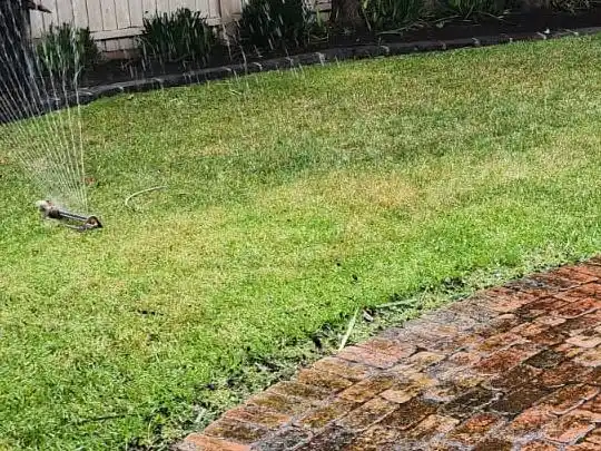 Front lawn with fresh mow and clean edging