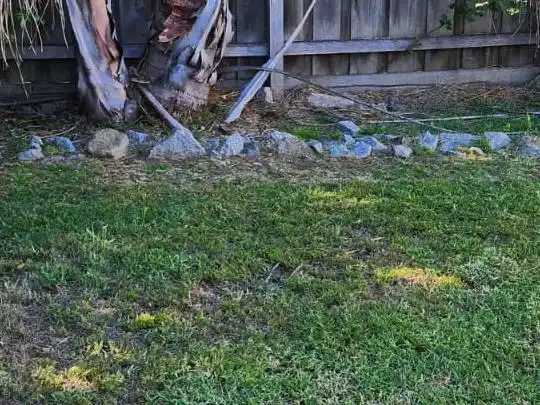 Trailer loaded with garden green waste for removal