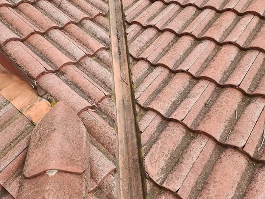 Clean gutters on a suburban home after clearing